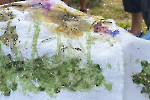 Färberworkshop im artpark/ Fotos privat