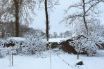 Schermbeck im Schnee