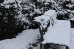 Schnee 2019/Fotos Die Schermbecker/innen